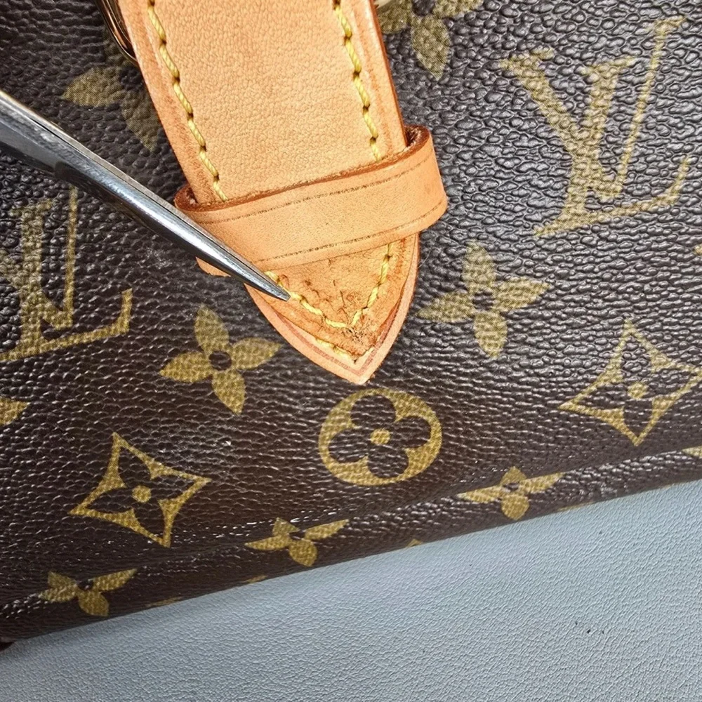 Louis Vuitton dog carrier Monogram Handbag